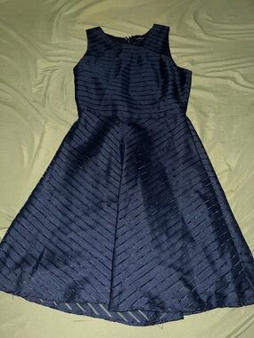 Banana Republic Petite Sleeveless Navy A-Line Dress